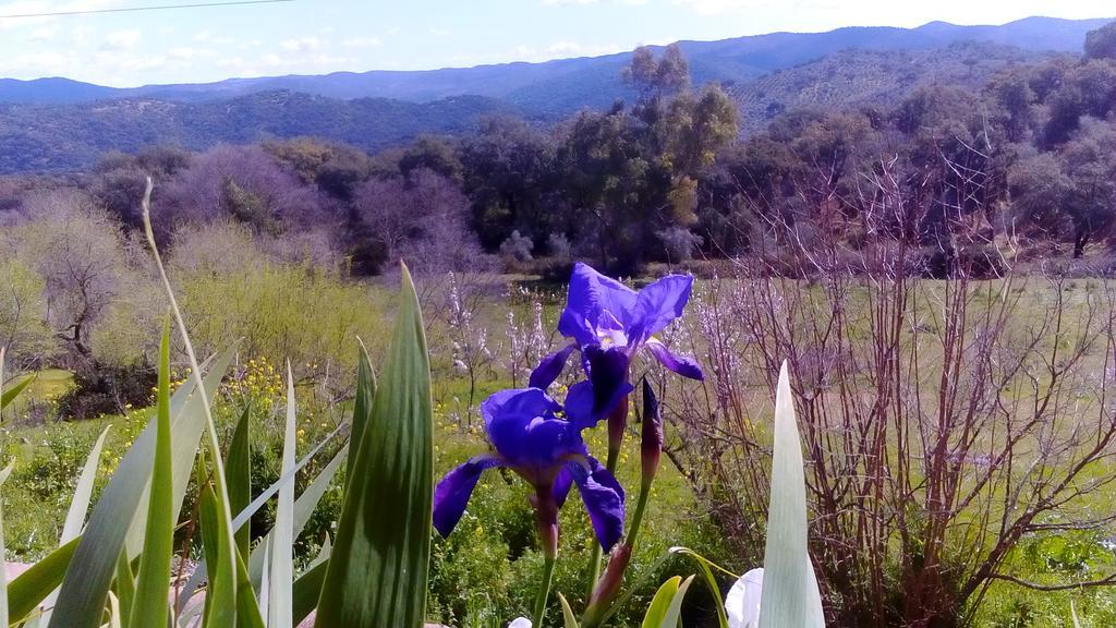 La Cartuja de Cazalla Affittacamere Cazalla de la Sierra Esterno foto